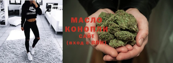 спиды Гусев