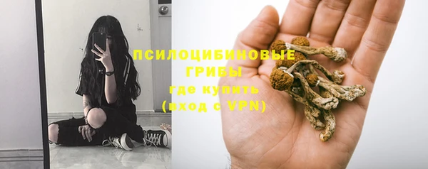 соль курить ск Горнозаводск